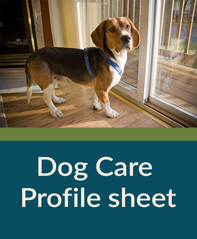 Dog Care Profile Sheet