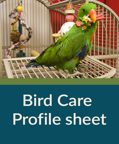 Bird Care Profile Sheet