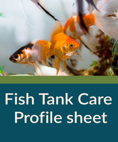Fish Tank Care Profile