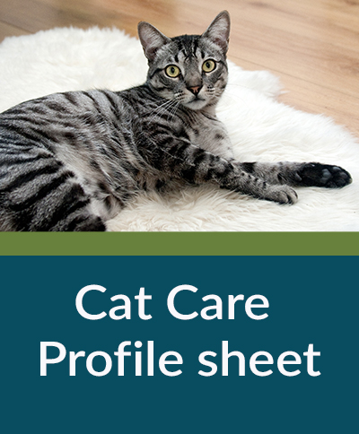 Cat Care Profile Sheet