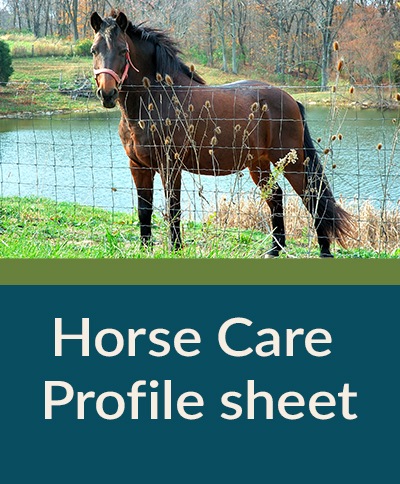 Horse Care Profile Sheet