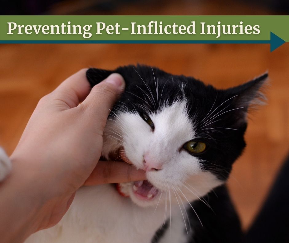 Preventing dog bites and cat scratches