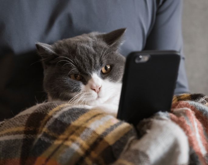 Organic or Paid Social-Media Marketing: What Should Pet Sitters Use?