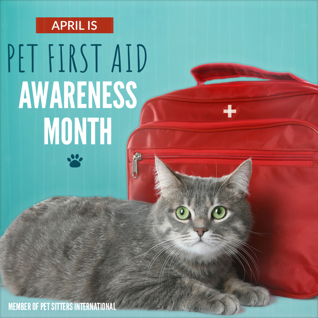 Pet First Aid Awareness Month image
