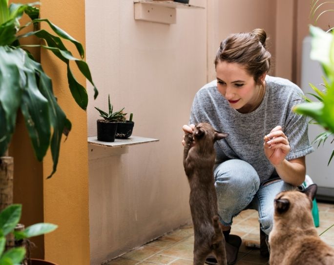 Setting Your Pet-Sitting Rates