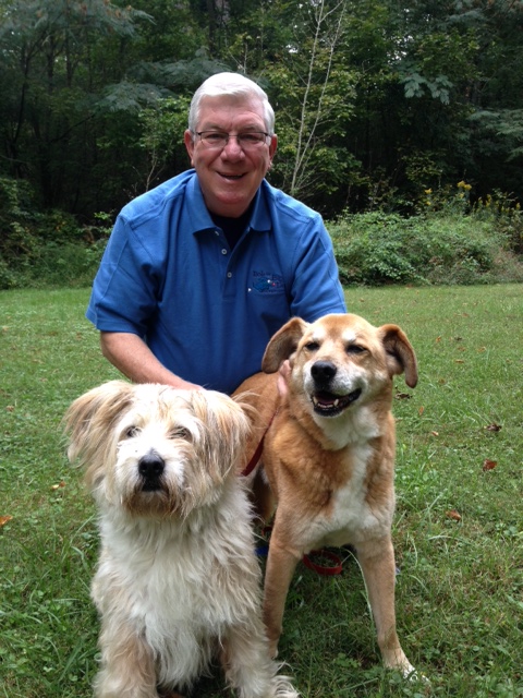 Bob The Big Dog Pet Sitting Service