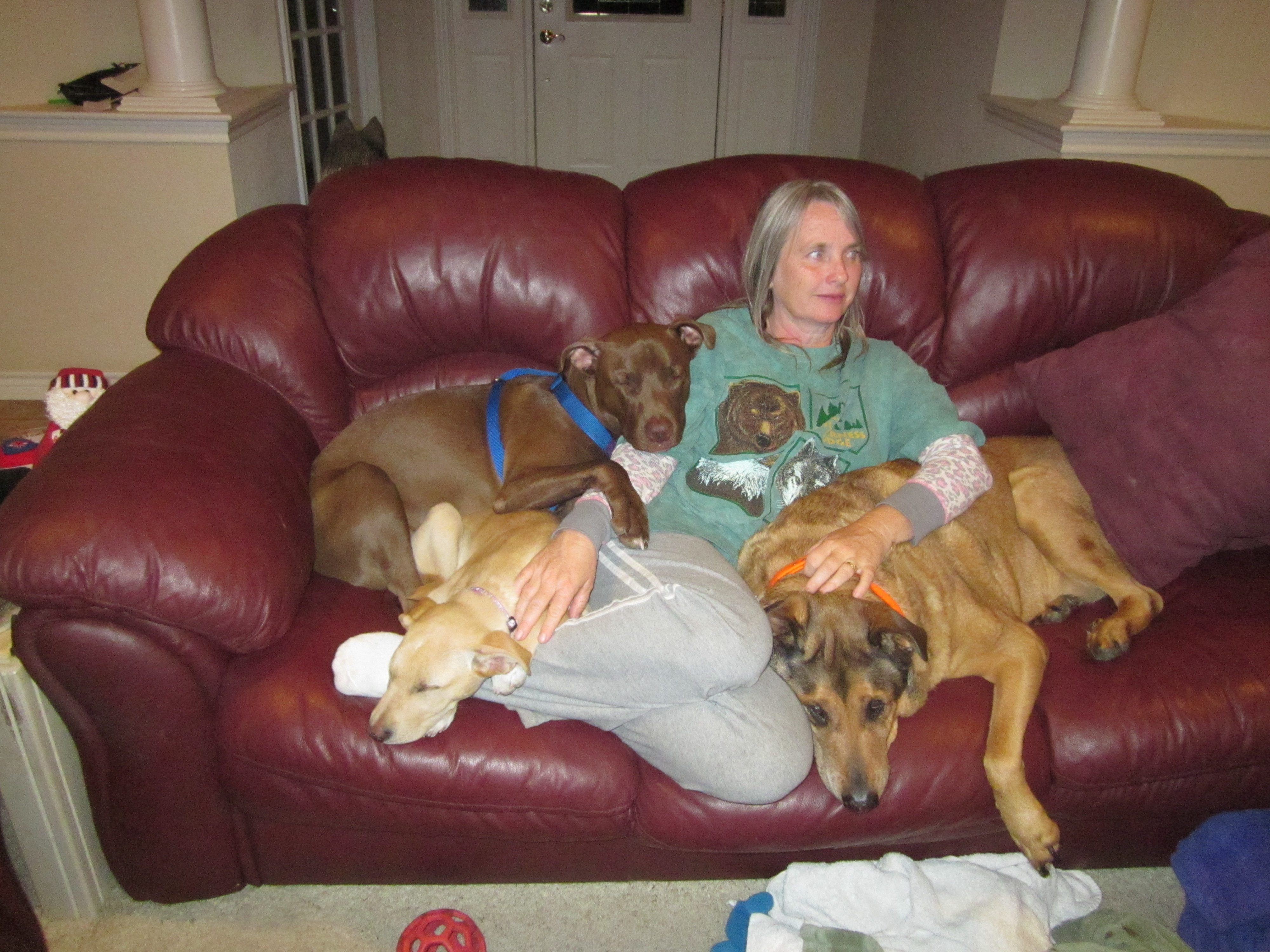 Gina's Extra Special Pet Care