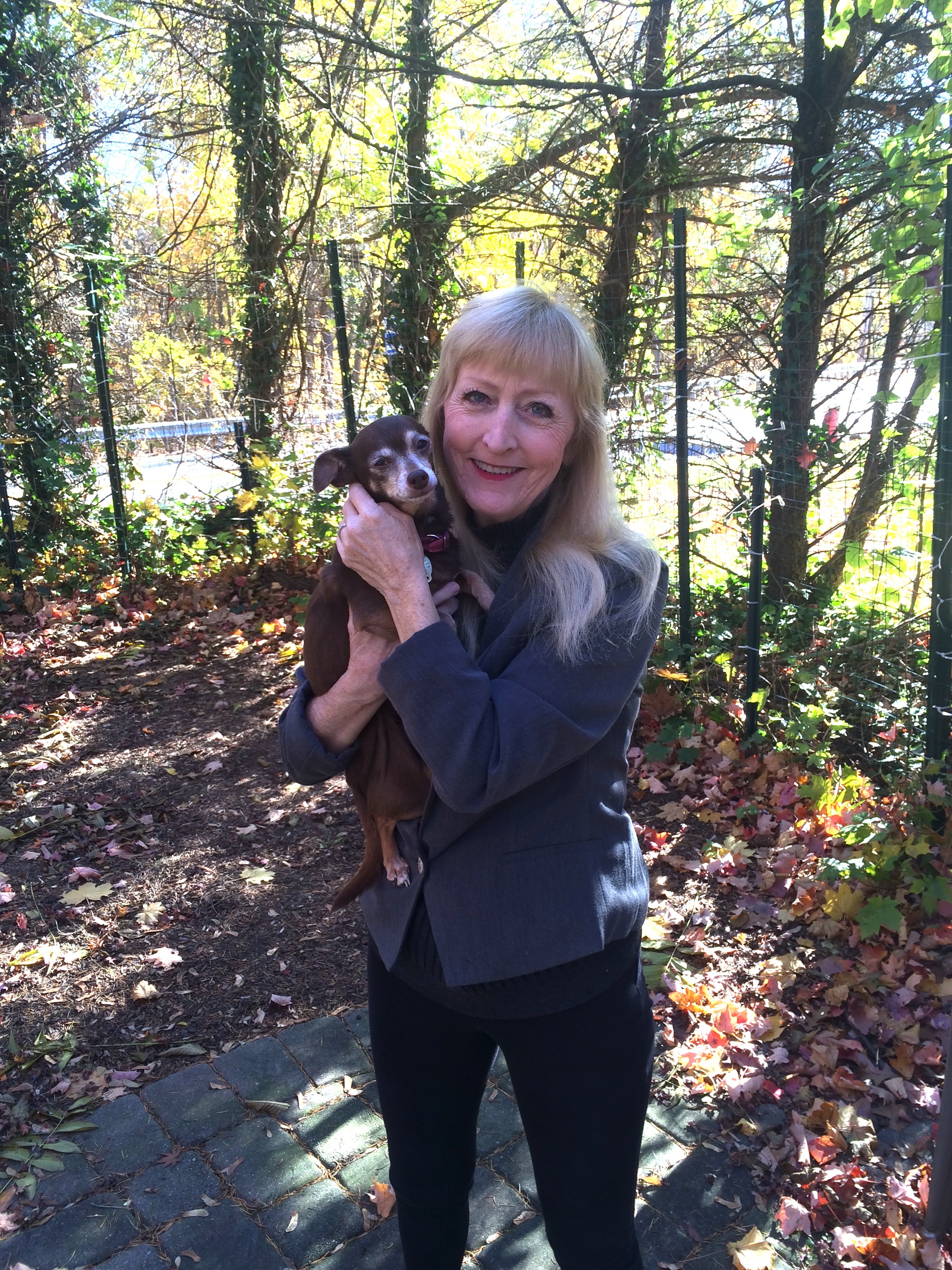 Dog Boarding Hillsdale Nj Dog Boarding Hillsdale Nj