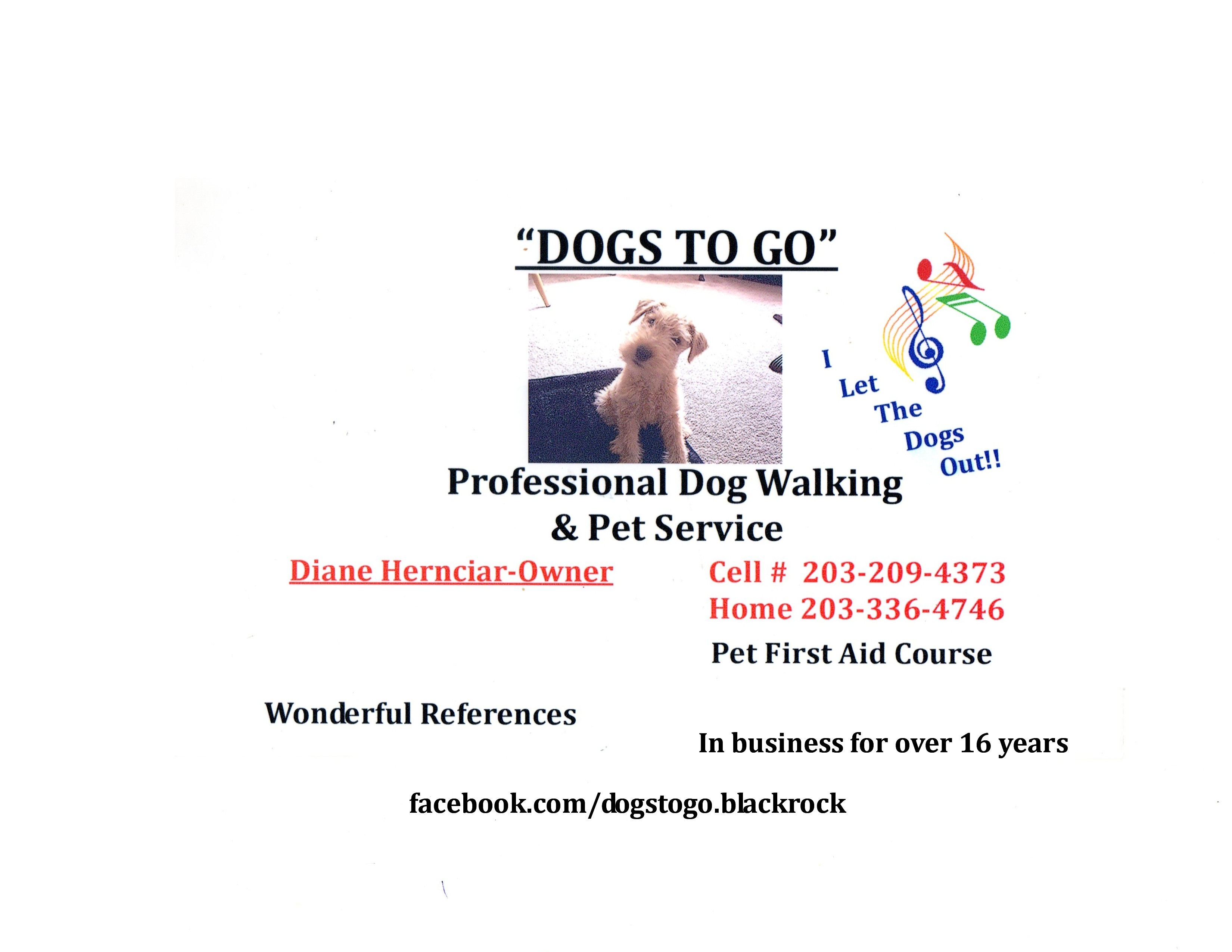 Dogs to Go Professional dog walking and Pet Service