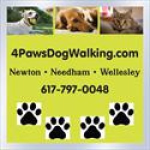 paws dog walking