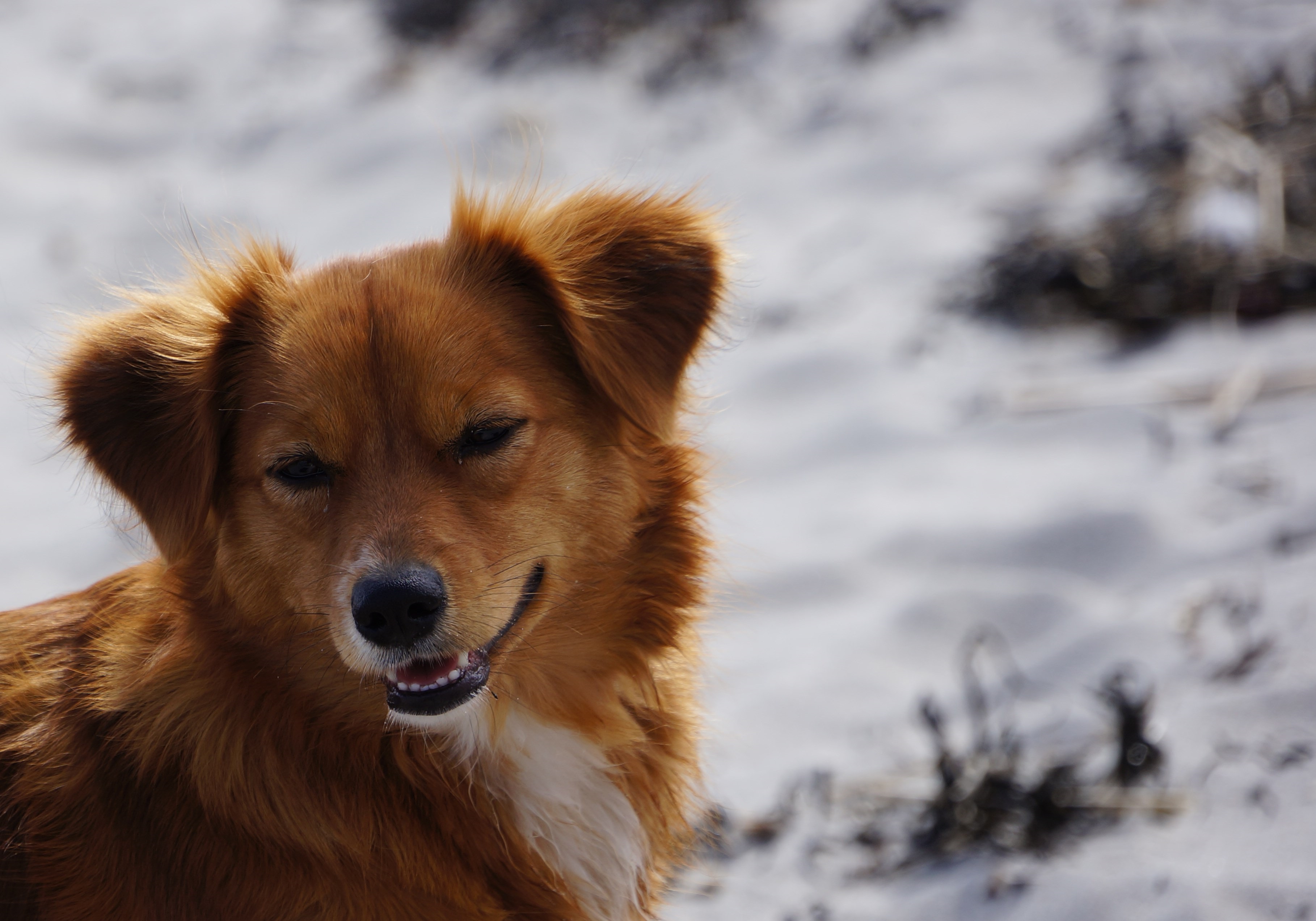 Rockport, MA, image size:3636x2545