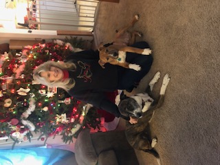 A Hug and A Biscuit Pet Sitting