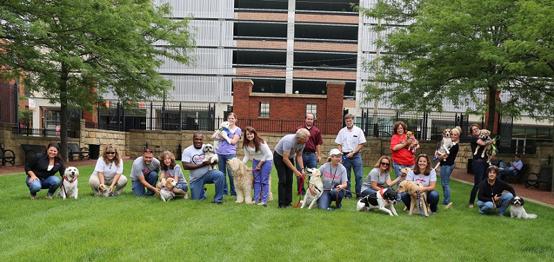 5 Simple Games To Play At Your Pet Business Event