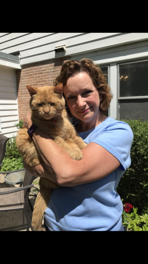 purrfect pet transport