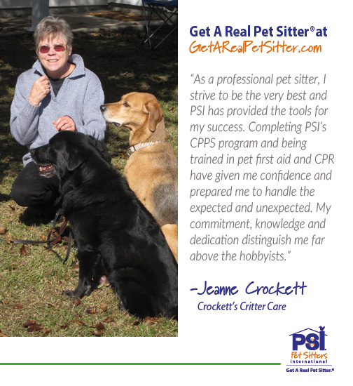 use a professional pet sitter pet sitters international dog babysitting jobs