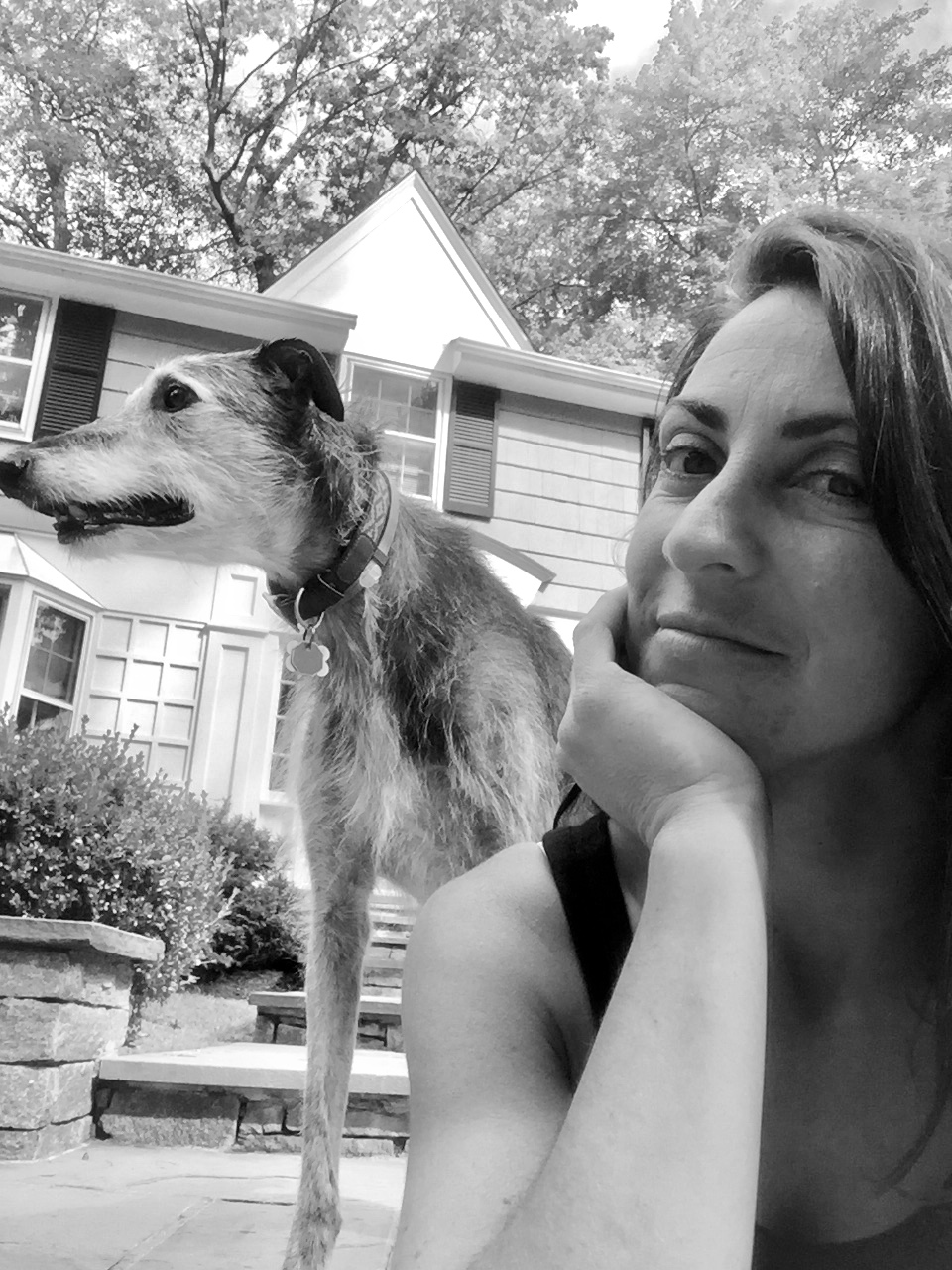 Daytripping Dogs, LLC