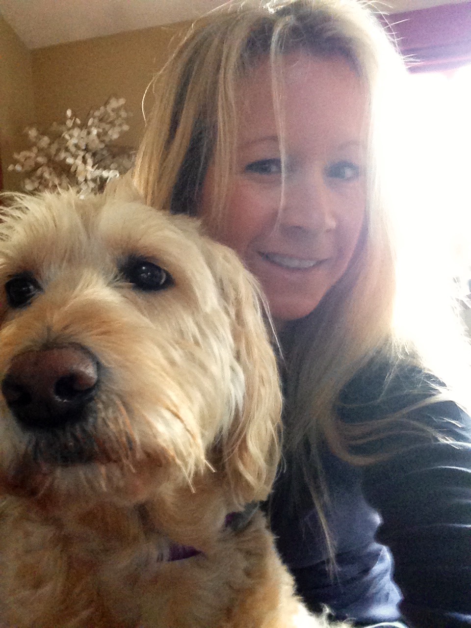 Animal Instincts Pet Sitting & Dog Walking