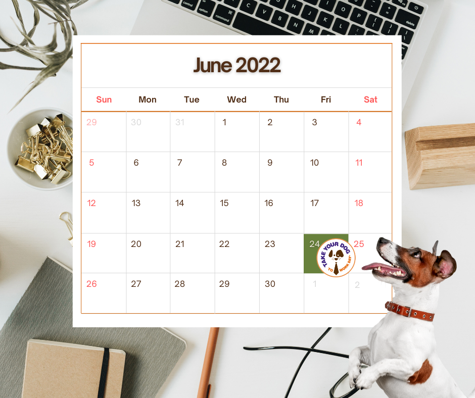 Take Your Pet To Work Day 2022