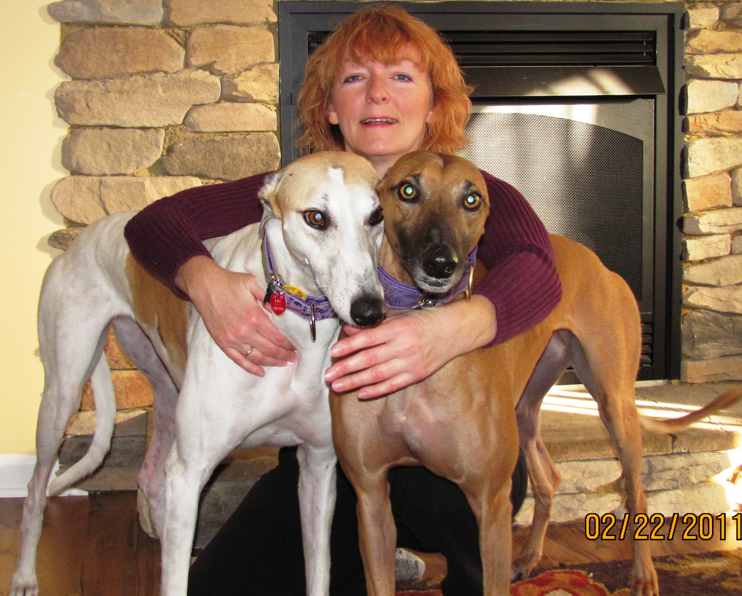 Loving Hands Pet Care