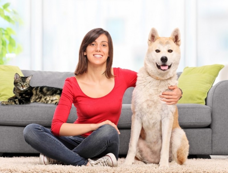 How To Become A Pet Sitter Pet Sitters International