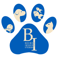 Your Guide To Finding The Best Pet Sitter Insurance Pet Sitters International