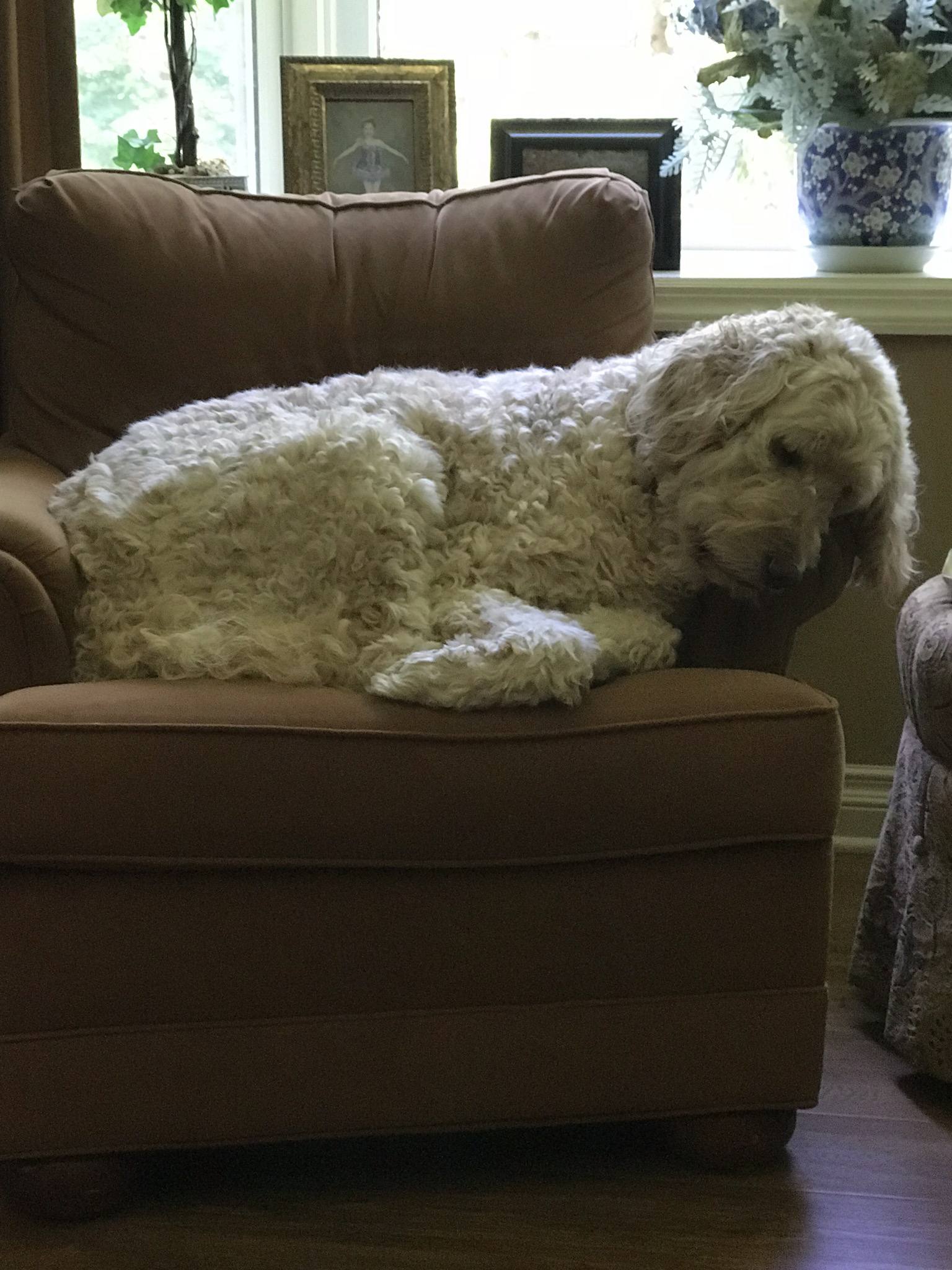 Marilyn's Pet Sitting Service