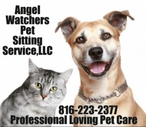 Angel Watchers Pet Sitting Service Llc
