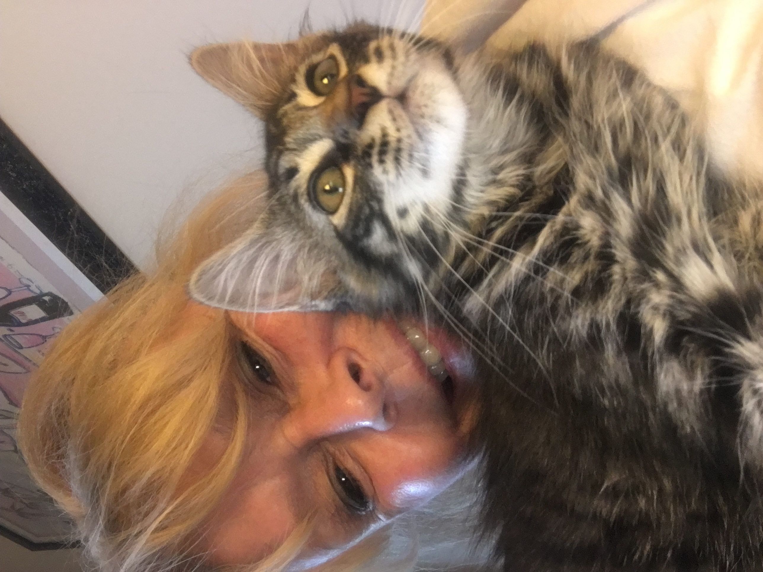 Plantation Pet Sitters