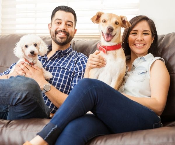 Pet Sitters International The Leading Pet Sitter Association