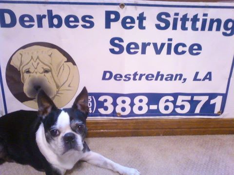 Derbes Pet Sitting Service, L.L.C.