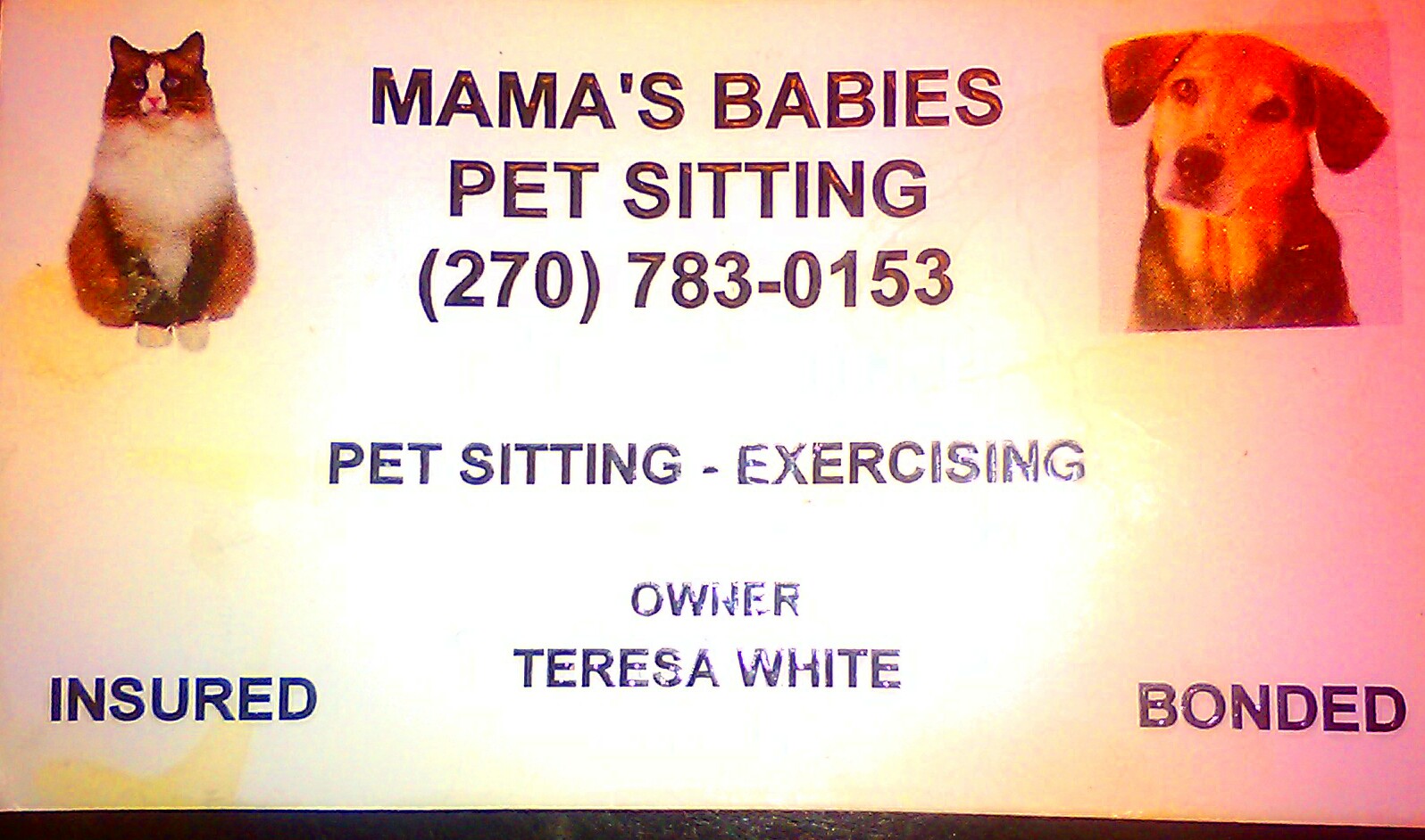 Mama's Babies Pet Sitting