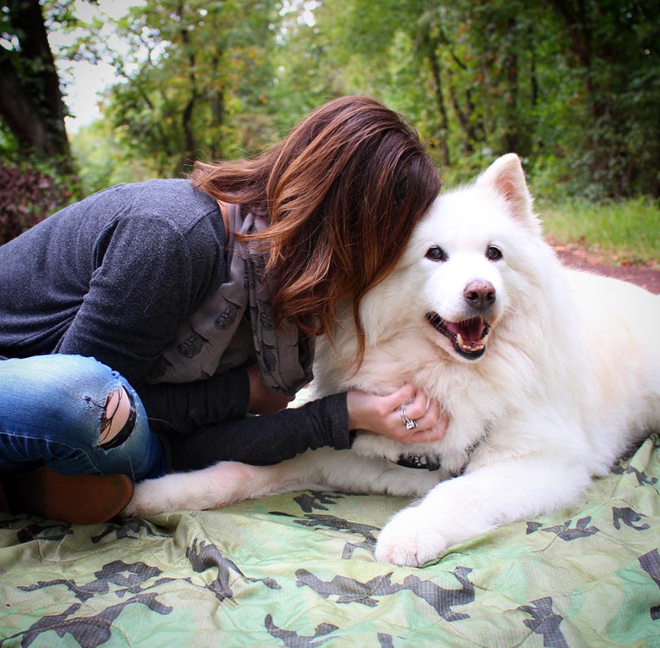 Comfy Critters Pet Sitting