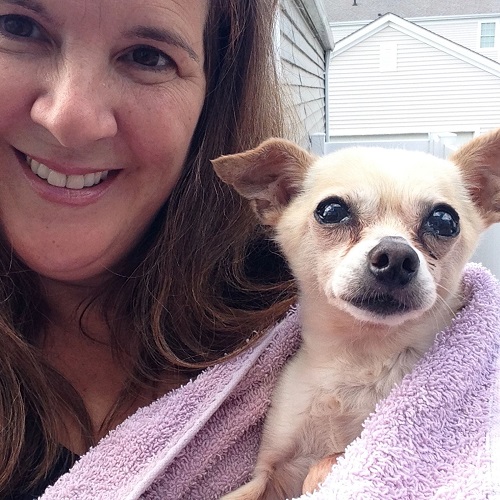 Pet Sitters Right at Home of Hamilton, LLC