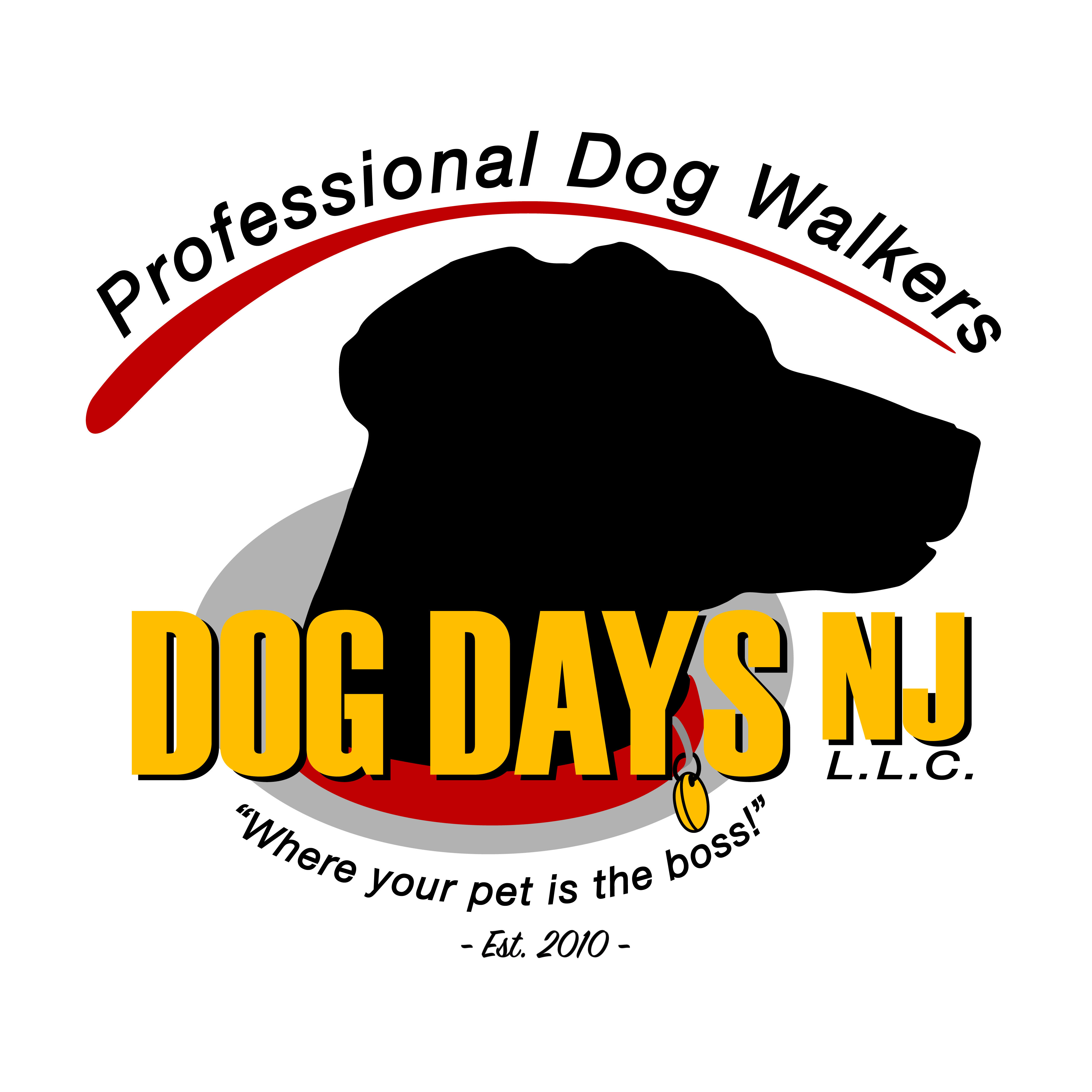 Dog Days NJ Dog Walking