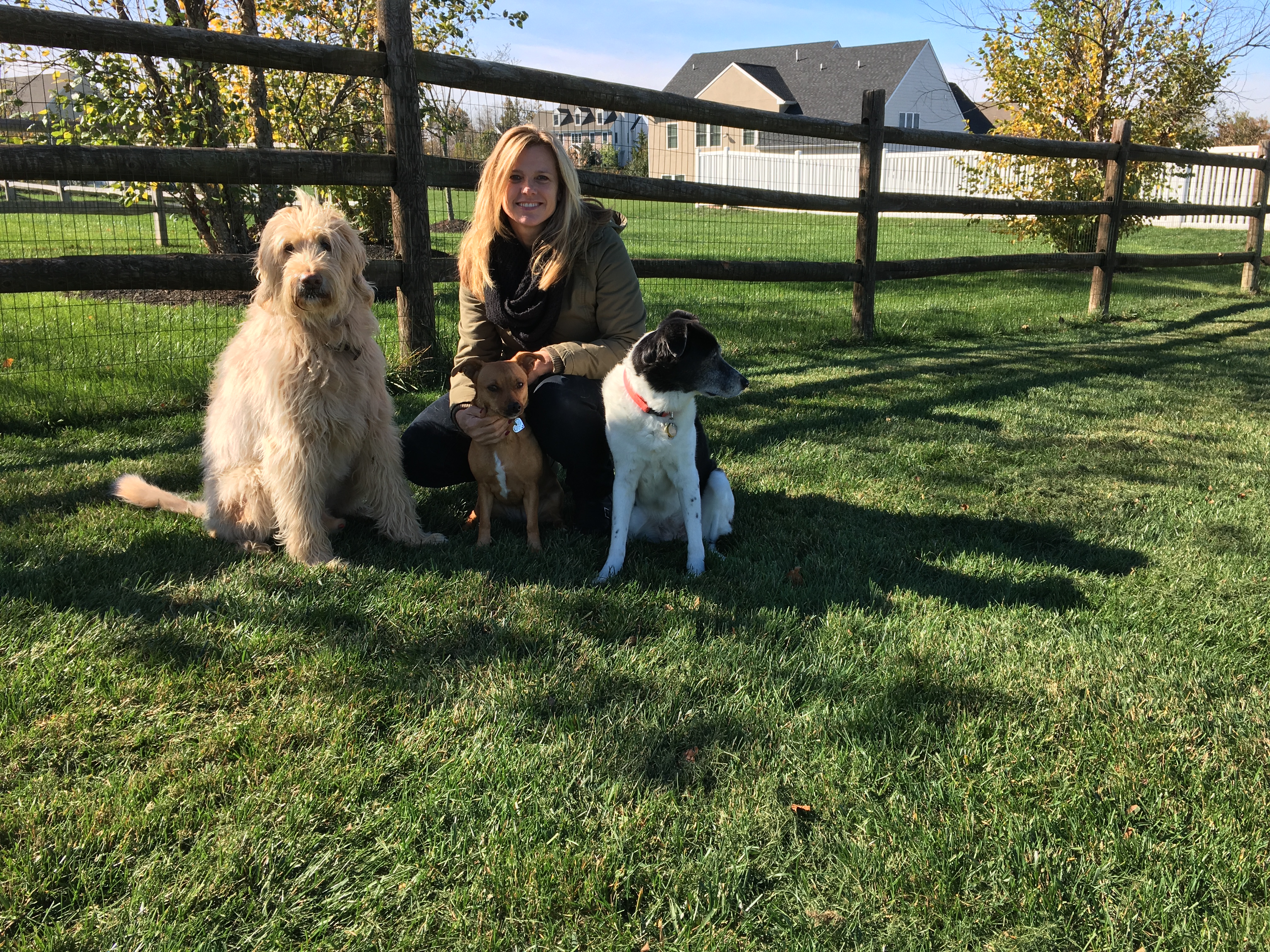 Pet Pals In Home Pet Sitting Service