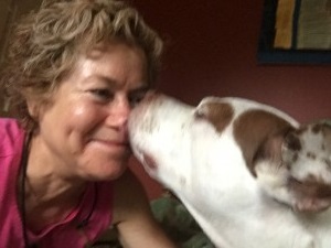 Bow Wow Meow Pet Sitting & Dog Walking