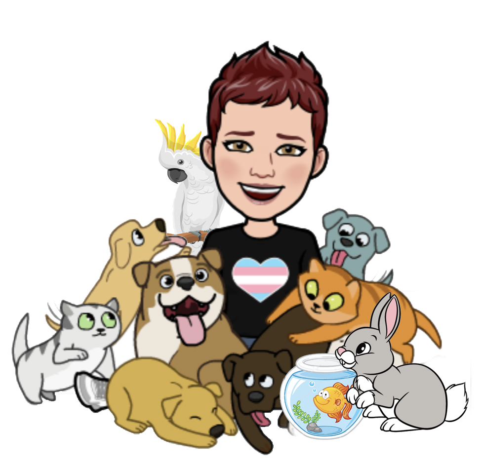 Safe at Home - A Professional Pet Sitting Service