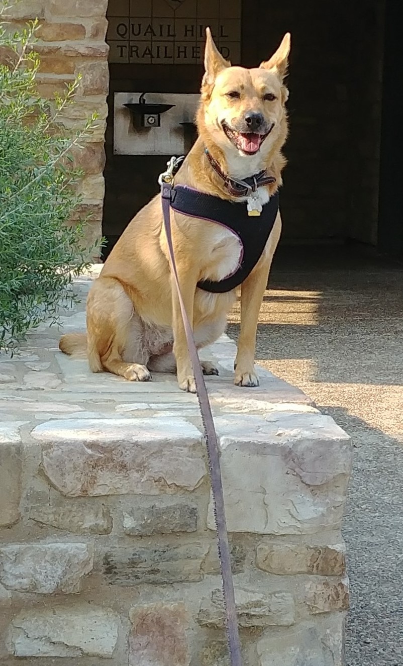 Lisa's Happy & Loved Pets
