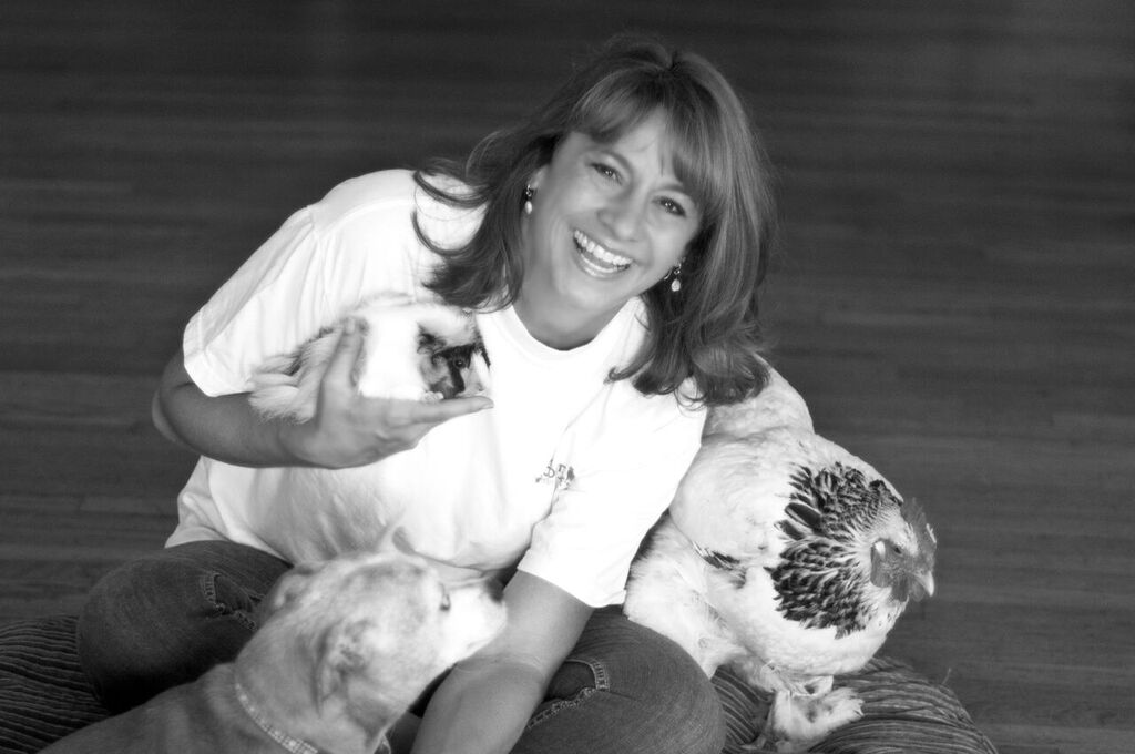 vinegar bath for dogs