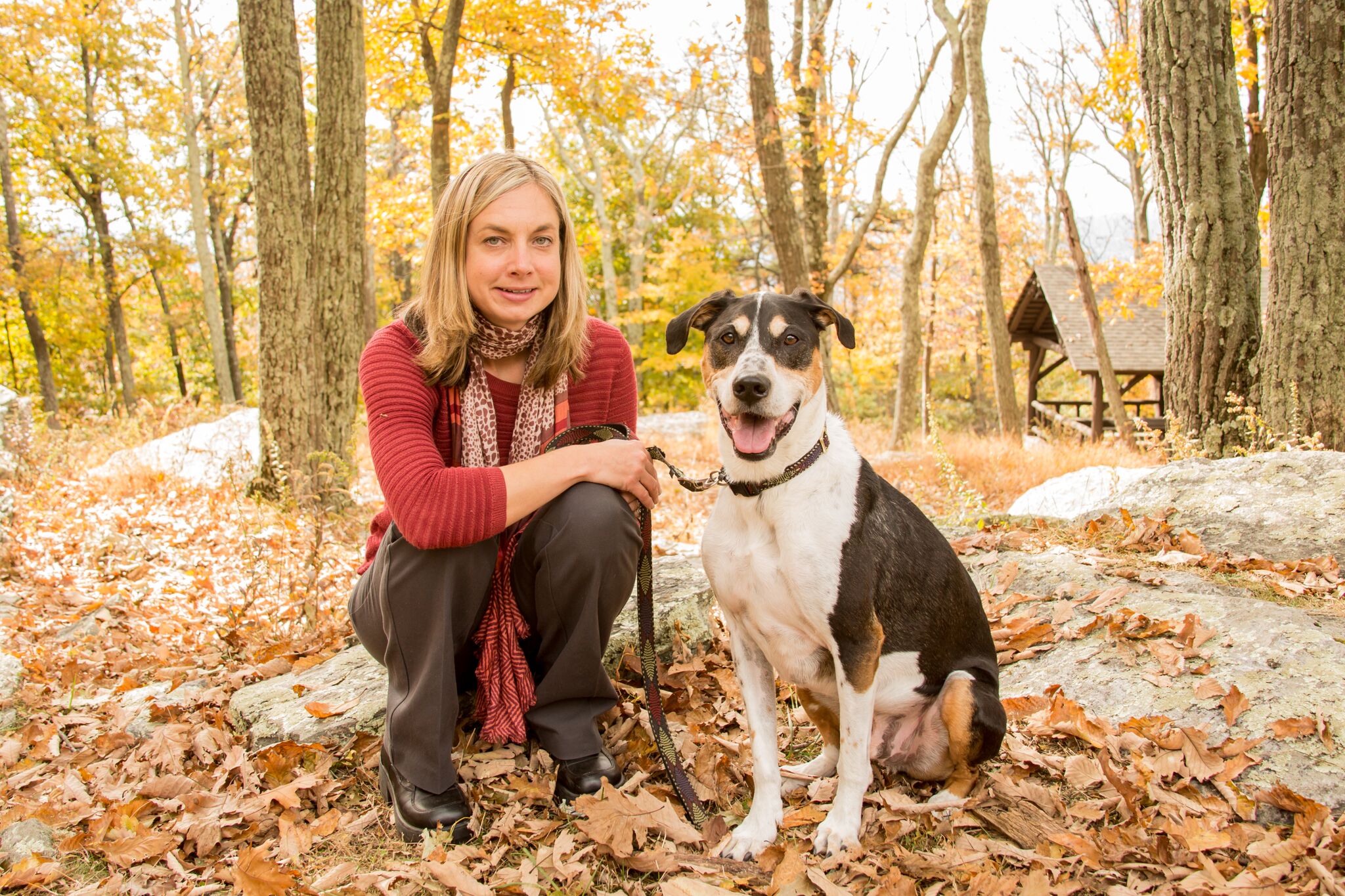 4-Legged Friends Pet Services