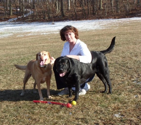 The Critter Sitter, LLC