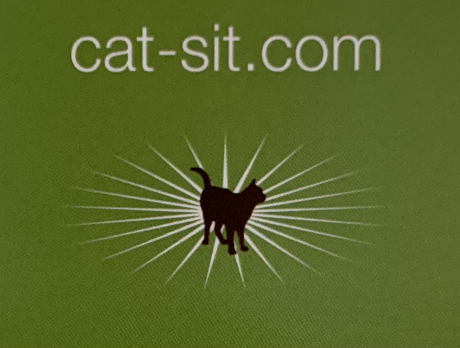 Cat-Sit.com  Danny's Cat Sitting