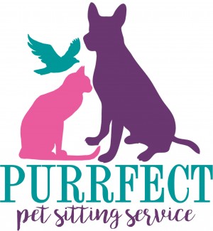 purrfect pet transport