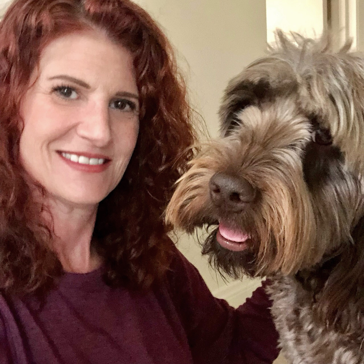 BowWow Companion Pet Sitting