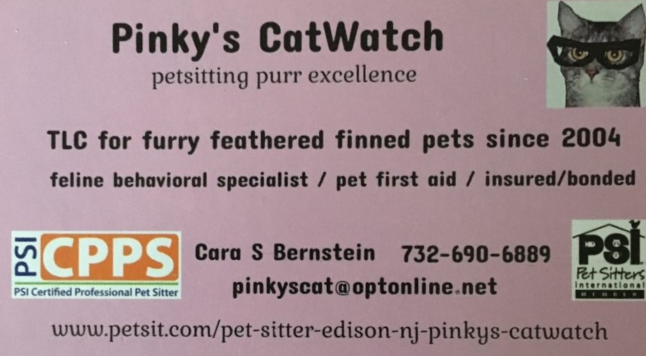 Pinky's CatWatch