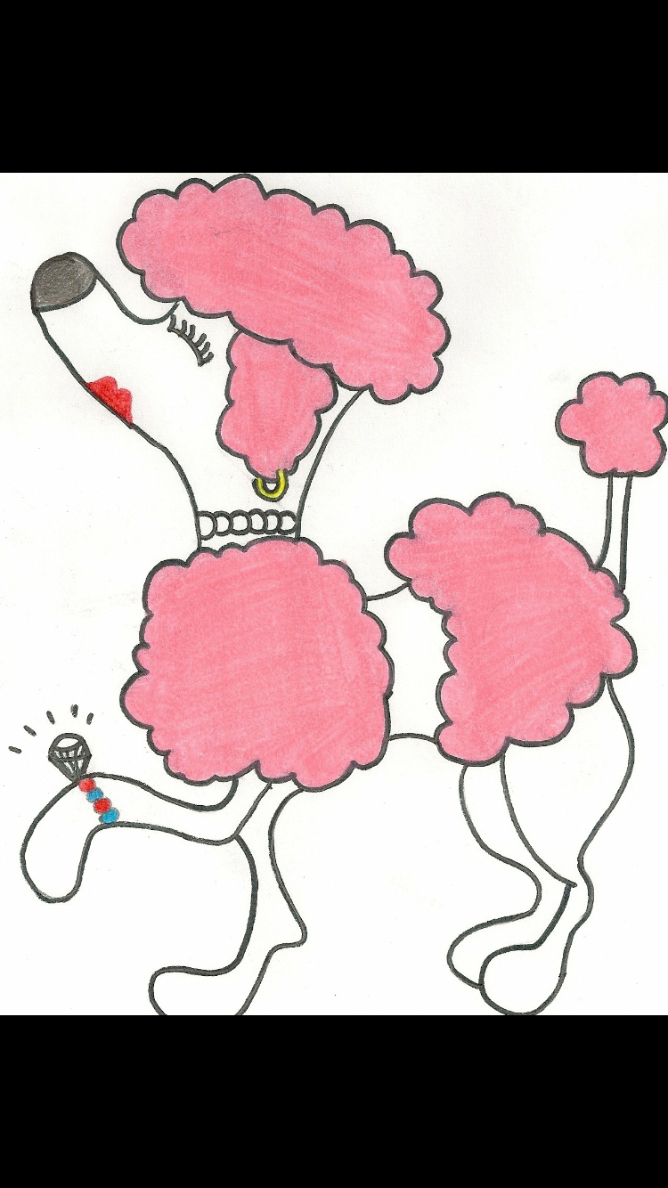 Dazzling Pet Sitting Service, LLC