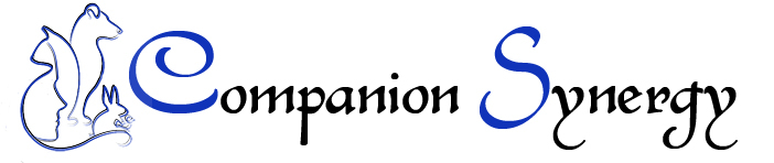 Companion Synergy