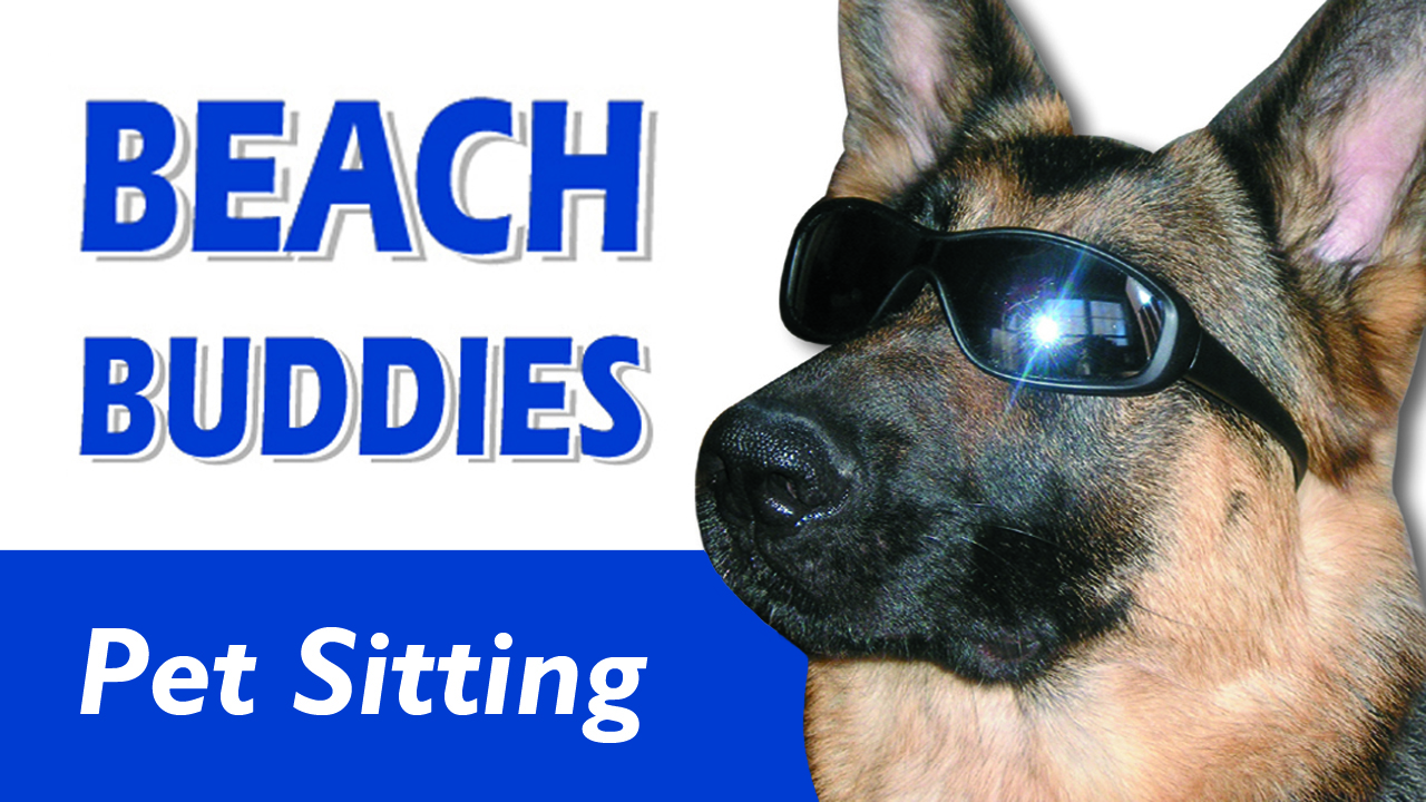 Beach Buddies Pet Sitting