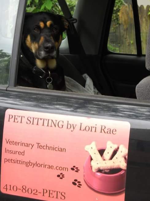 Pet Sitting by Lori Rae