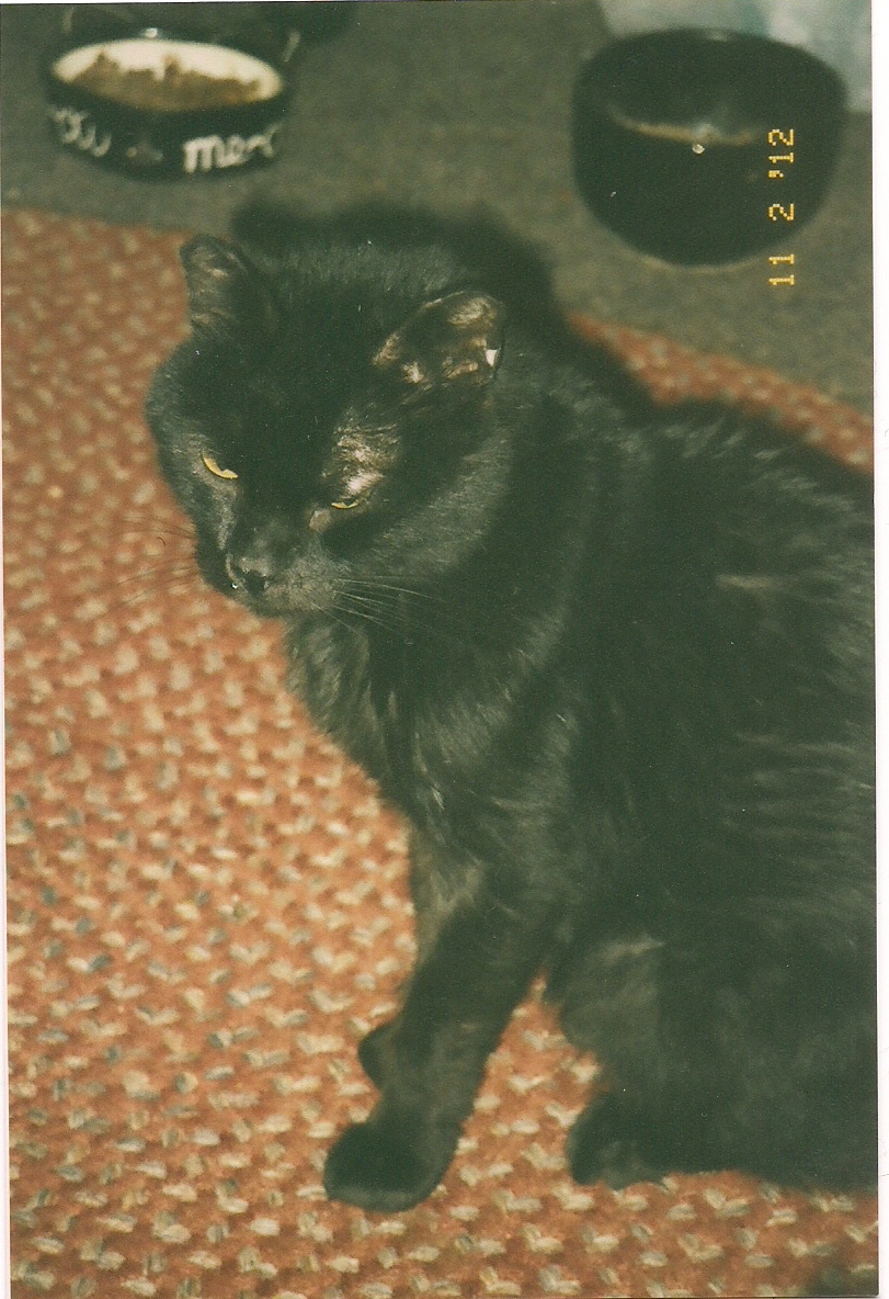 18